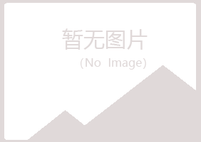 大方县残缺工程有限公司